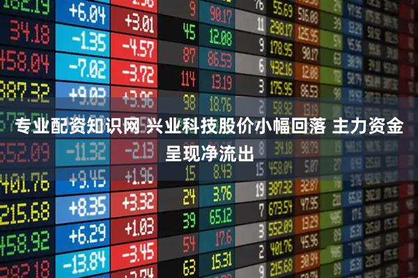 专业配资知识网 兴业科技股价小幅回落 主力资金呈现净流出
